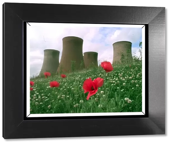 Rugeley power station surrounded by poppies