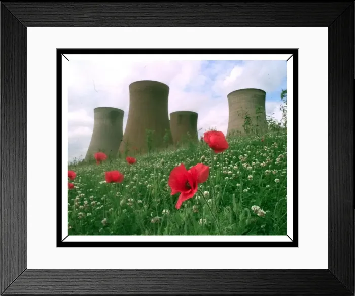 Framed Print : Rugeley power station surrounded by poppies Framed Print : Rugeley power station surrounded by poppies
