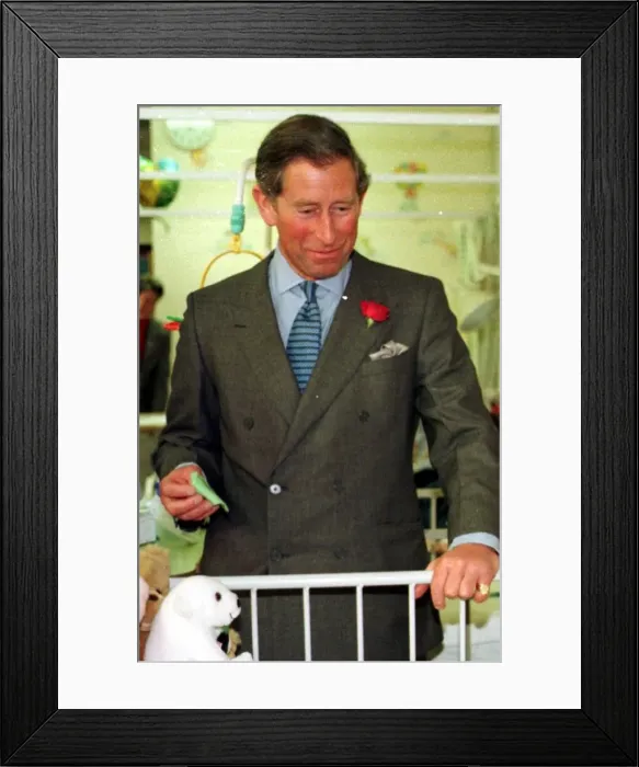 Framed Print : Prince Charles during a hospital visit in Bristol 1998 With Thomas Venn Framed Print : Prince Charles during a hospital visit in Bristol 1998 With Thomas Venn