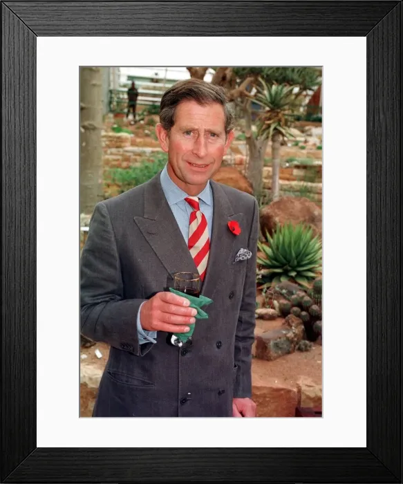 Framed Print : Prince Charles visits the Botanic Gardens in Cape Town, South Africa Drinking herbal tea Framed Print : Prince Charles visits the Botanic Gardens in Cape Town, South Africa Drinking herbal tea