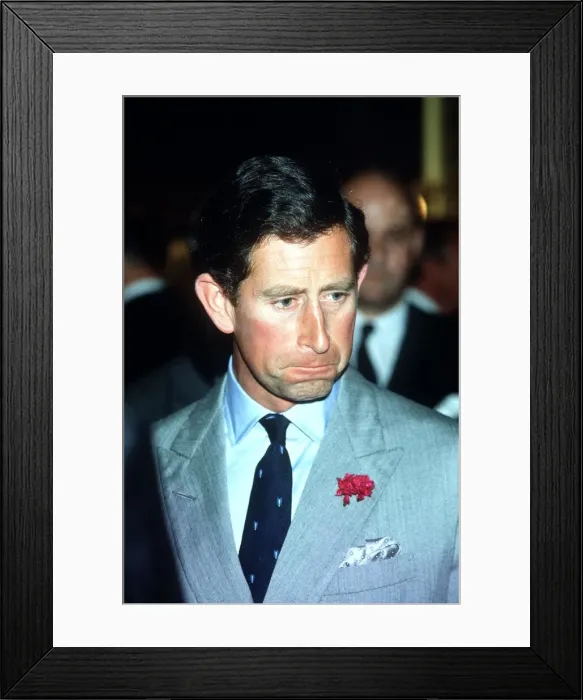 Framed Print : Prince Charles at reception for anglo-Netherlands Society July 1988 Framed Print : Prince Charles at reception for anglo-Netherlands Society July 1988