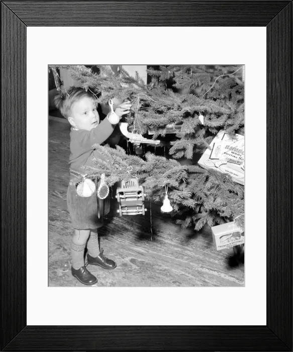 Framed Print : Young master John Masterson inspects the christmas tree Framed Print : Young master John Masterson inspects the christmas tree
