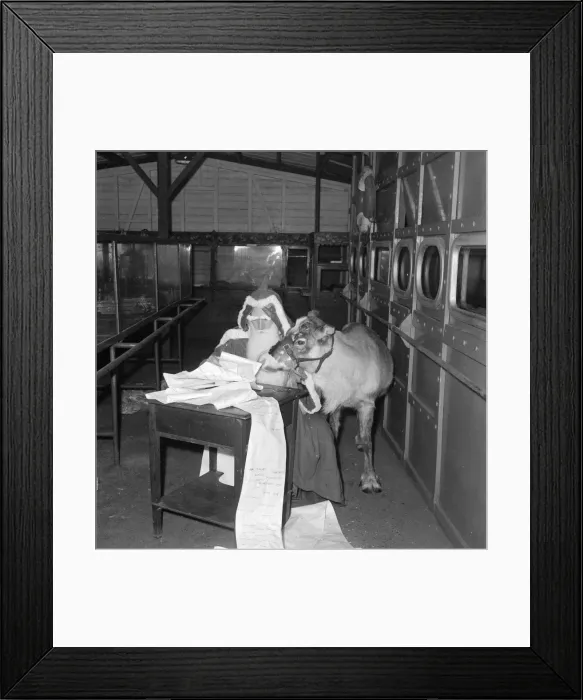 Framed Print : Father Christmas seen here reviewing his list of good and bad boys Framed Print : Father Christmas seen here reviewing his list of good and bad boys