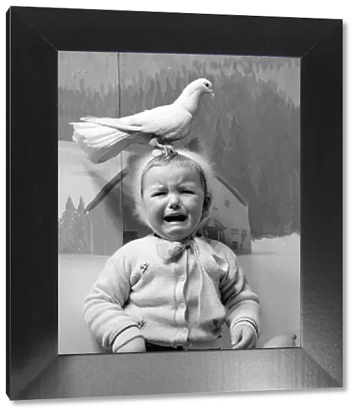A little girl in a Manchester department store is upset by the doves in Santa