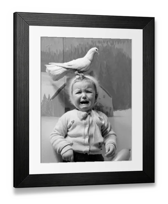 Framed Print : A little girl in a Manchester department store is upset by the doves in Santa