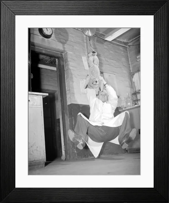 Framed Print : Toys for christmas like this teddy bear take a jolly good hiding whilst they are tested Framed Print : Toys for christmas like this teddy bear take a jolly good hiding whilst they are tested