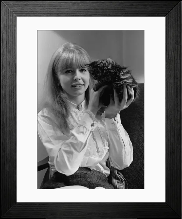 Framed Print : Actress Jane Asher holding a kitten 1965