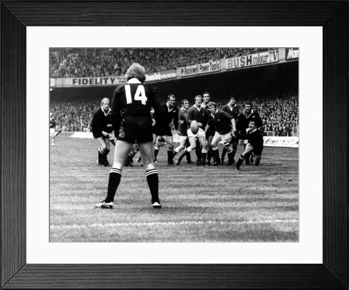 Framed Print : Sport - Rugby - Wales v New Zealand - 11th November 1978 - All Blacks scrum half Dave