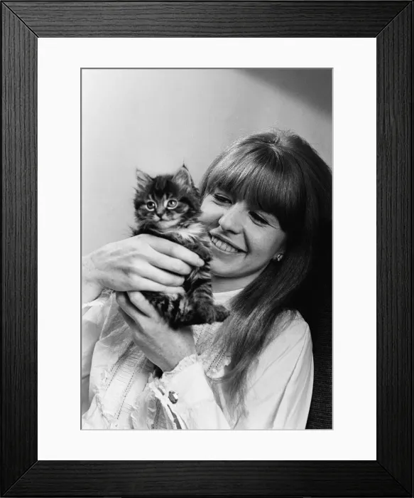 Framed Print : Actress Jane Asher holding a kitten 1965 Framed Print : Actress Jane Asher holding a kitten 1965