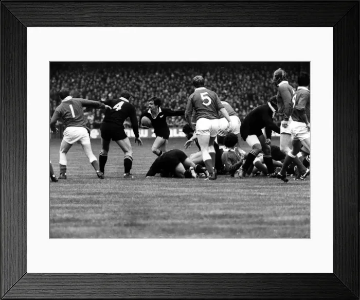 Framed Print : Sport - Rugby - Wales v New Zealand - 11th November 1978 - All Blacks scrum half Dave Framed Print : Sport - Rugby - Wales v New Zealand - 11th November 1978 - All Blacks scrum half Dave