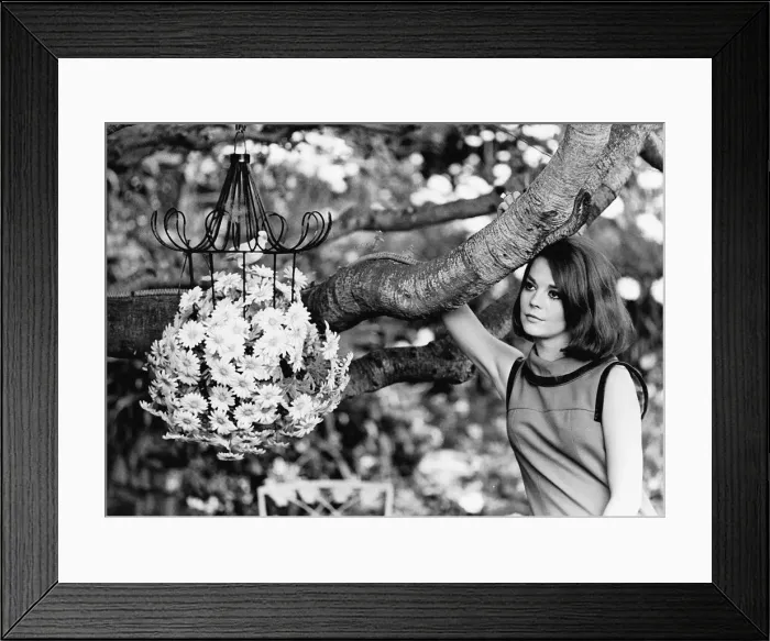 Framed Print : Natalie Wood actress Framed Print : Natalie Wood actress