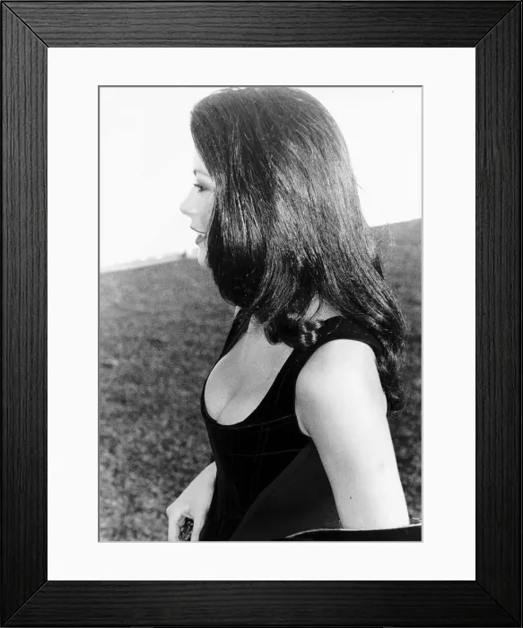 Framed Print : Catherine Zeta Jones Actress Framed Print : Catherine Zeta Jones Actress