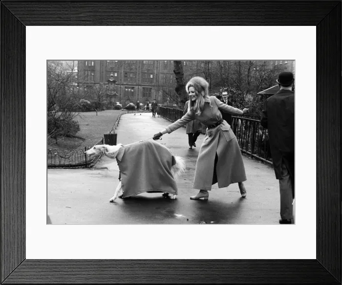 Framed Print : Model Vicki Hodge with dog Kika a Borzoi dog both wearing Maxi coats Framed Print : Model Vicki Hodge with dog Kika a Borzoi dog both wearing Maxi coats