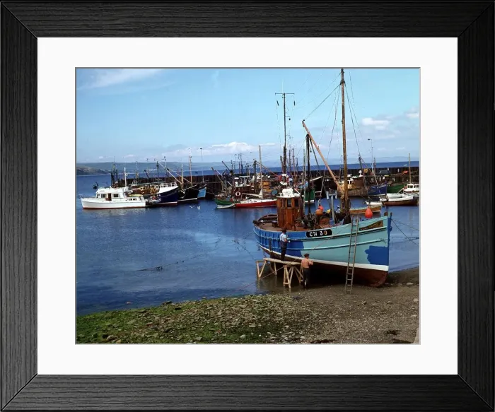 Framed Print : Harbour at Carradale Argyll Scotland Two fishermen are painting their boat blue