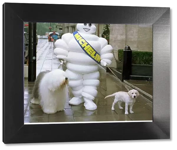 The Dulux Dog (L) Mr Michelin And The Andrex Puppy (R) Three Images Go For A Walk At The