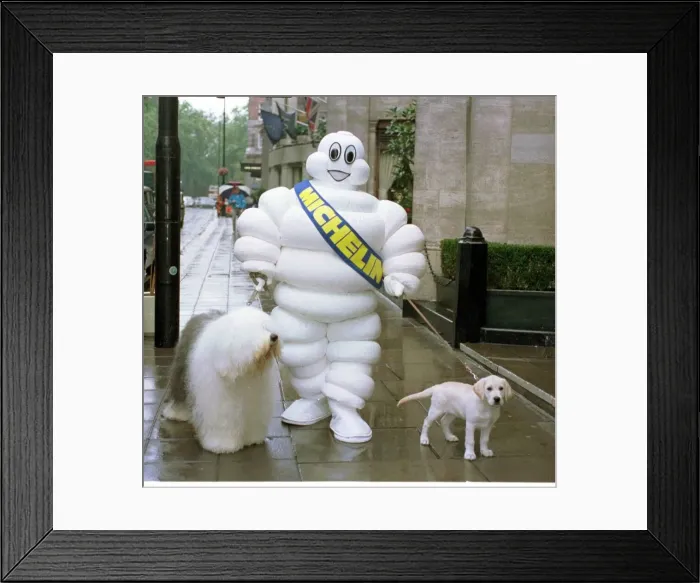 Framed Print : The Dulux Dog (L) Mr Michelin And The Andrex Puppy (R) Three Images Go For A Walk Framed Print : The Dulux Dog (L) Mr Michelin And The Andrex Puppy (R) Three Images Go For A Walk