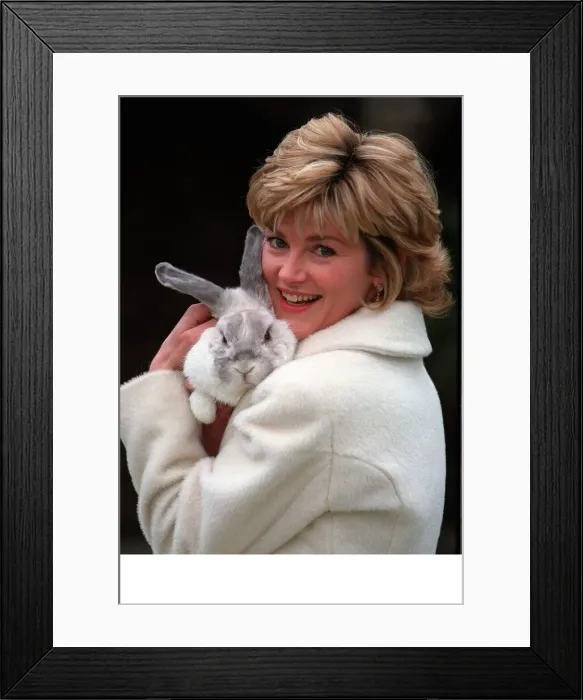 Framed Print : Anthea Turner tv presenter with q t the rabbit for the launch of her new tv programme Framed Print : Anthea Turner tv presenter with q t the rabbit for the launch of her new tv programme