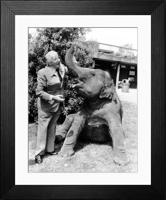 Framed Print : Johnny Morris TV Presenter of Animal Programmes with Layang the Elephant at an Animal Framed Print : Johnny Morris TV Presenter of Animal Programmes with Layang the Elephant at an Animal