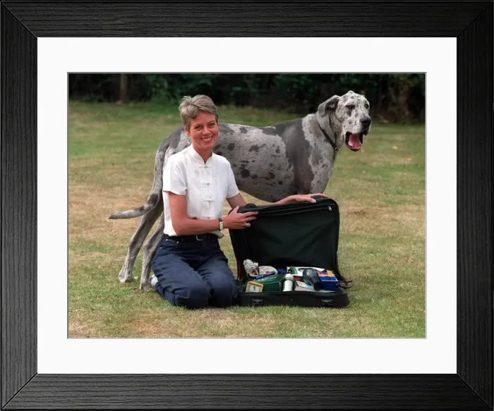 Framed Print : Penny Junor TV presenter with her dog and suitcase for Celebs and their Suitcases feature Framed Print : Penny Junor TV presenter with her dog and suitcase for Celebs and their Suitcases feature