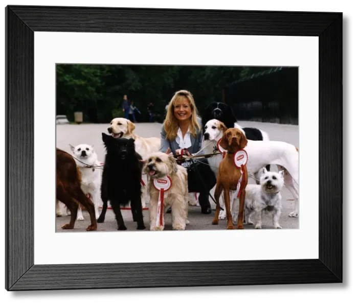 Framed Print : Gaby Roslin TV Presenter with dogs who feature on the 1994 Prime dog food calendar in Framed Print : Gaby Roslin TV Presenter with dogs who feature on the 1994 Prime dog food calendar in