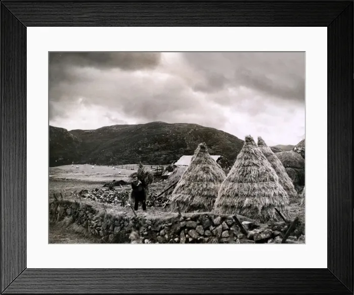 Framed Print : A hardy crofter at work near Stornaway on the island of Lewis in the Outer Hebrides Framed Print : A hardy crofter at work near Stornaway on the island of Lewis in the Outer Hebrides