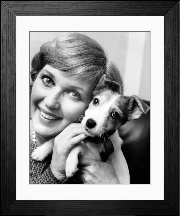 Framed Print : Katie Boyle with a mongrel puppy dog at Battersea dogs home in London