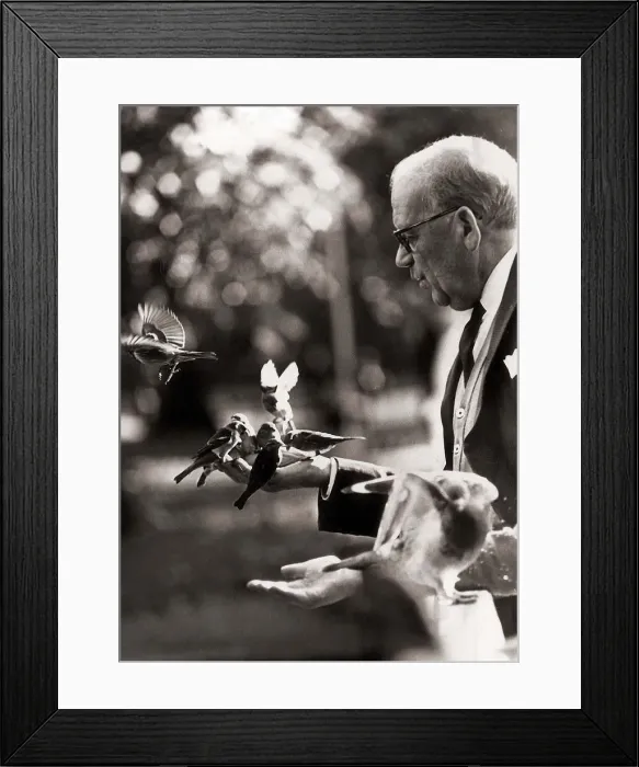 Framed Print : Man feeding the Birds - April 1968 in St James Park, London Framed Print : Man feeding the Birds - April 1968 in St James Park, London