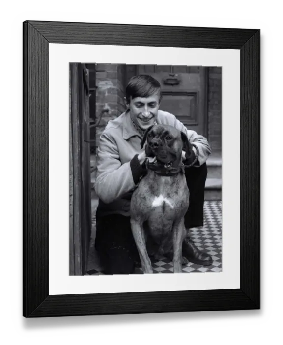 Framed Print : slobber chops'(income tax office story) animal boxer dog standing up Framed Print : slobber chops'(income tax office story) animal boxer dog standing up