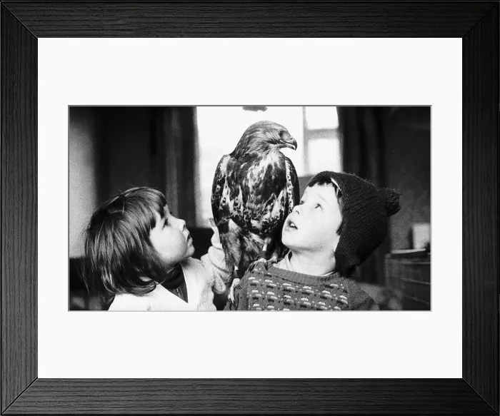 Framed Print : Kim and Gary Drake with pet Buzzard Beauty 1971 Framed Print : Kim and Gary Drake with pet Buzzard Beauty 1971