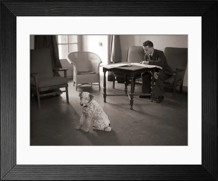 Framed Print : The reserve Rattray Head lighthouse keeper reads his newspaper as his dog stands guard