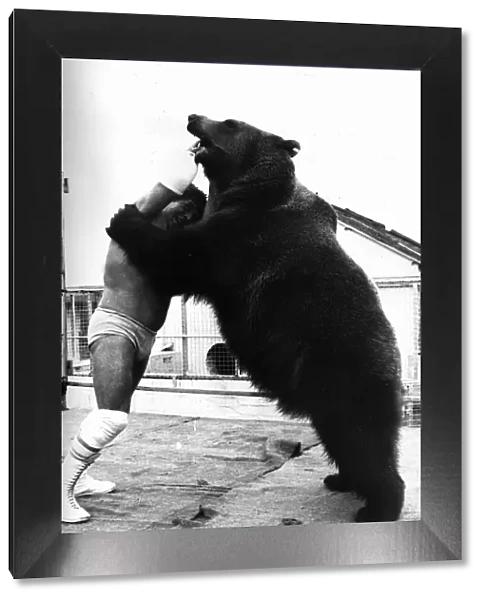 Andy Robin wrestler with Hercules the bear 1979