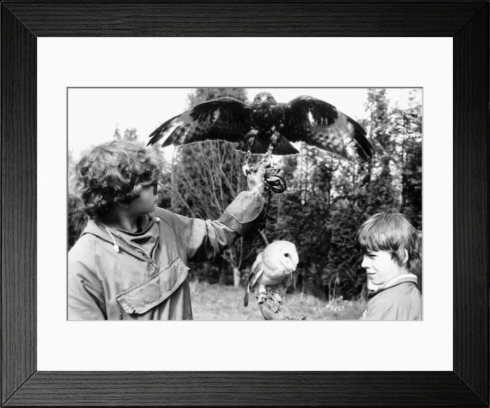 Framed Print : Fabian and Oliver Smith with their birds 1985 Buzzard and Barn Owl Framed Print : Fabian and Oliver Smith with their birds 1985 Buzzard and Barn Owl