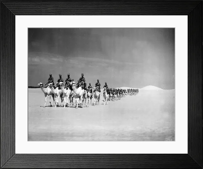 Framed Print : Egyptian Camel Corps Army Framed Print : Egyptian Camel Corps Army
