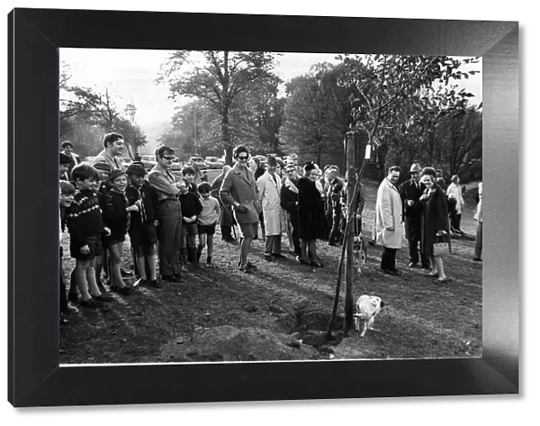 Billy B dog peeing against a tree planted by the Mayor at Whetstone Stray Barnet 1969