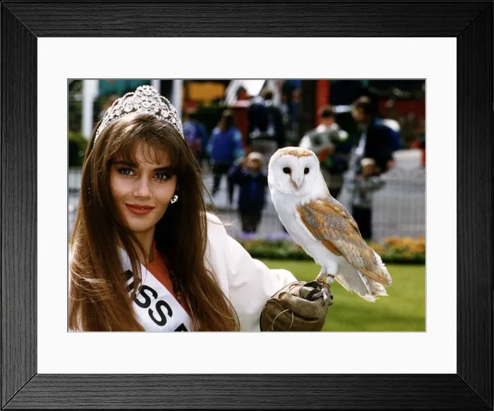 Framed Print : Birds Owls Barn Owl Tyto with winner of the Miss beautiful eyes competition in Britain Framed Print : Birds Owls Barn Owl Tyto with winner of the Miss beautiful eyes competition in Britain