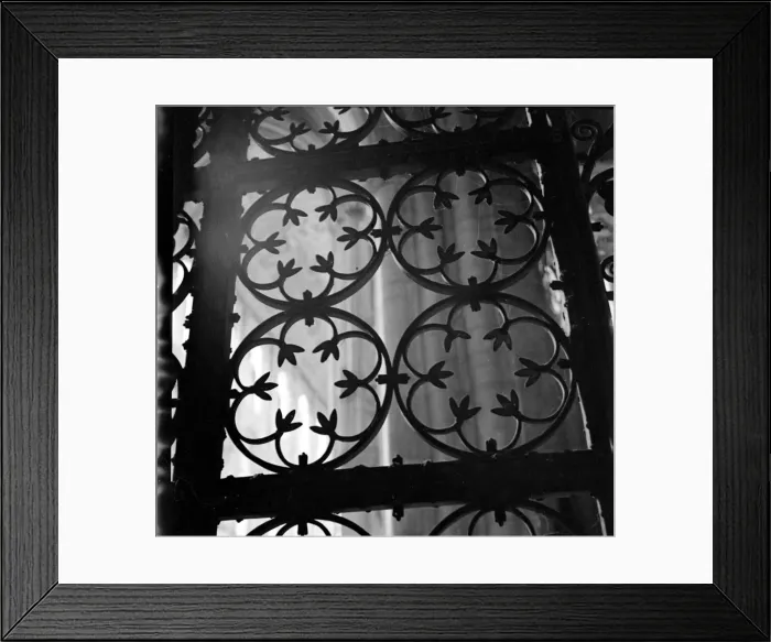Framed Print : Metal lattice work Ornate welded metal Cobwebs in the metalwork Door or Framed Print : Metal lattice work Ornate welded metal Cobwebs in the metalwork Door or