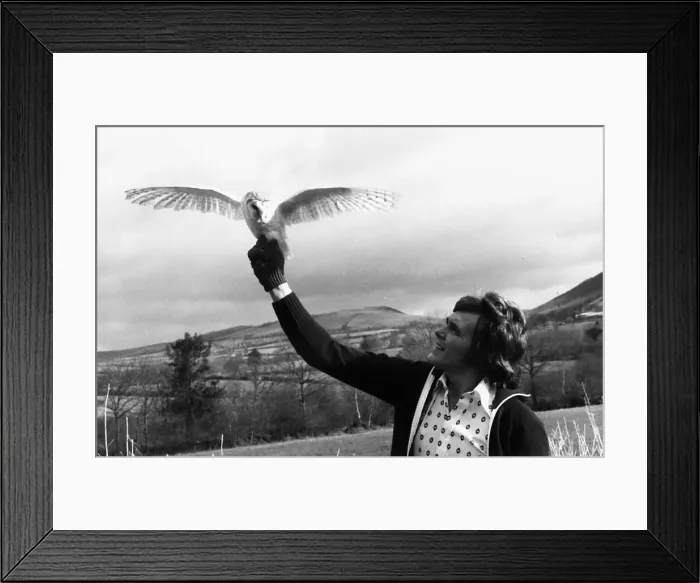 Framed Print : Billy Fury British pop singer with owl 1977 Framed Print : Billy Fury British pop singer with owl 1977