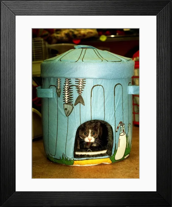 Framed Print : Cat toys for Christmas December 1997 dustbin cat bed Dofos pet shop Framed Print : Cat toys for Christmas December 1997 dustbin cat bed Dofos pet shop