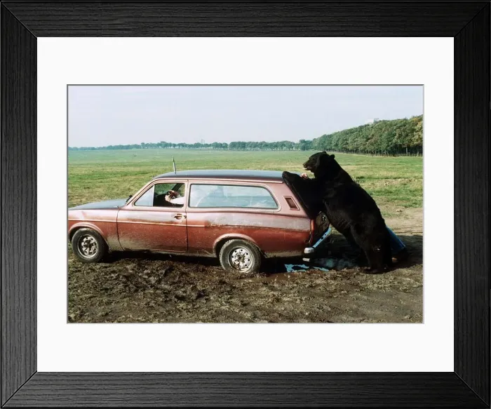 Framed Print : Daley the Bear - October 1988 who stars in a film called Framed Print : Daley the Bear - October 1988 who stars in a film called