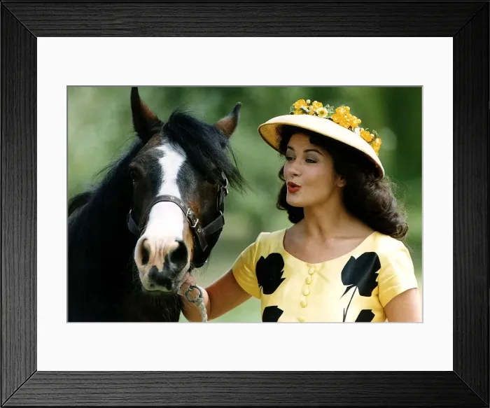 Framed Print : Catherine Zeta Jones Actress who starred in the hit tv series the Darling Buds of May as Framed Print : Catherine Zeta Jones Actress who starred in the hit tv series the Darling Buds of May as