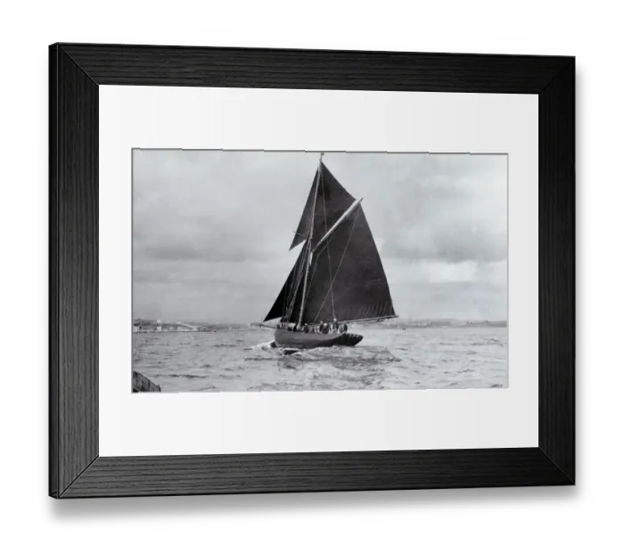 Framed Print : The yacht Jolie Brise seen here entering Plymouth Sound to cross the finishing line of Framed Print : The yacht Jolie Brise seen here entering Plymouth Sound to cross the finishing line of