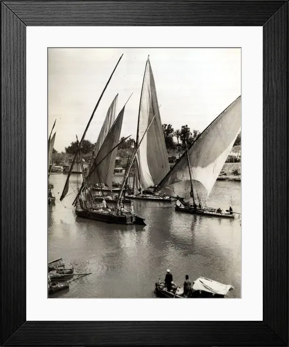 Framed Print : Sailing boats carrying goods and passengers along the River Nile. Circa 1910 Framed Print : Sailing boats carrying goods and passengers along the River Nile. Circa 1910