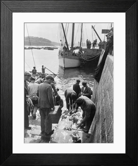 Framed Print : Fishermen prepare their bait before sailing from a fishing village in south coast of