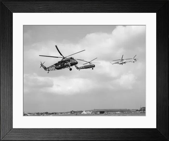 Framed Print : Westland Helicopters, Westminster, Wessex, Whirlwind and Sycamore hover side by side Framed Print : Westland Helicopters, Westminster, Wessex, Whirlwind and Sycamore hover side by side