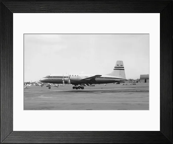 Framed Print : Aircraft Bristol Britannia Mk 100 comes in to land at the SBAC Farnborough Air Show 1955 Framed Print : Aircraft Bristol Britannia Mk 100 comes in to land at the SBAC Farnborough Air Show 1955