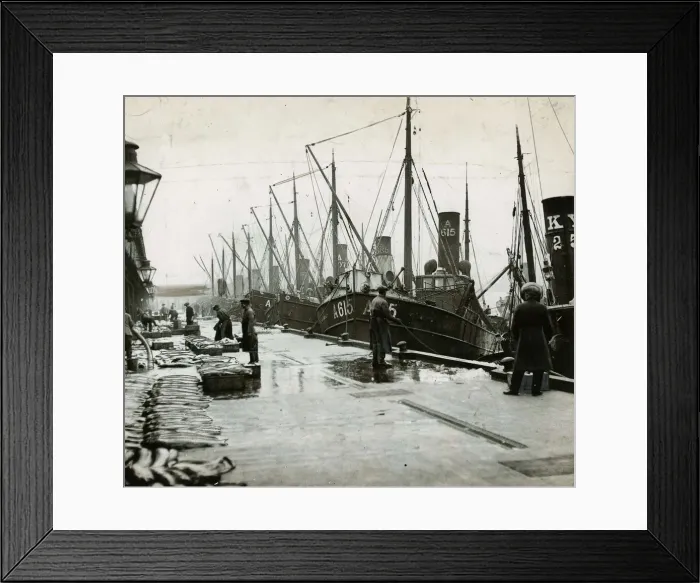 Framed Print : Part of the fishing fleet unloading their catch at the fish market at Aberdeen Harbour
