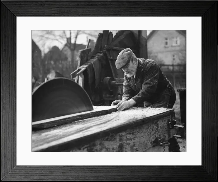 Framed Print : Wheelwright William Punday aged 73 seen here working with a circular saw February Framed Print : Wheelwright William Punday aged 73 seen here working with a circular saw February