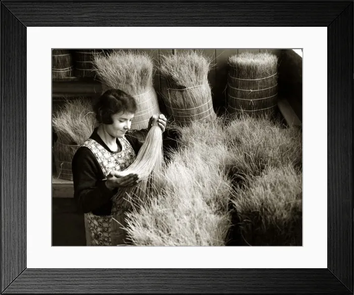 Framed Print : A worker examining whales finners which are ready for grading to be used to make brooms Framed Print : A worker examining whales finners which are ready for grading to be used to make brooms