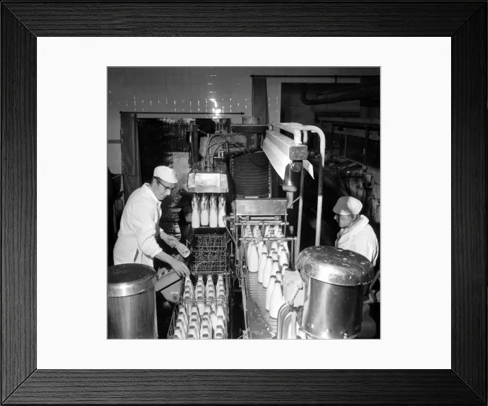 Framed Print : Dobsons Dairies October 1966 Workersr on Bottling and Packaging Machinery Framed Print : Dobsons Dairies October 1966 Workersr on Bottling and Packaging Machinery