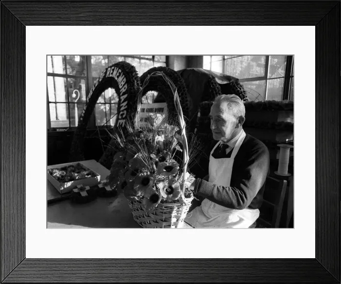 Framed Print : A factory worker at a poppy factory in Petersham Road, Richmond. 5th November 1969 Framed Print : A factory worker at a poppy factory in Petersham Road, Richmond. 5th November 1969